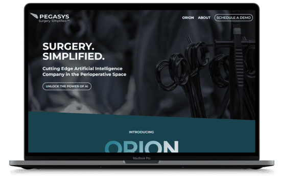 Pegasys Medical Website Homepage